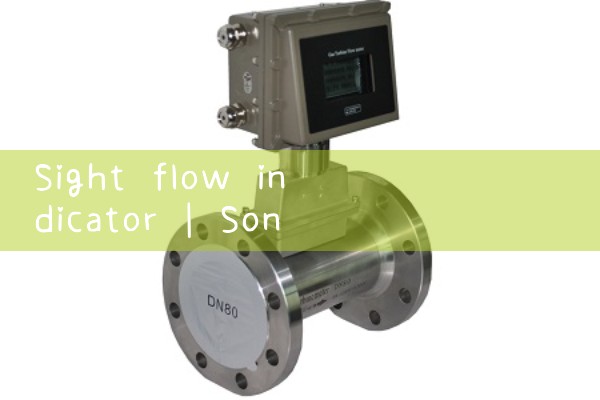 sight flow indicator|magnetic flow meter